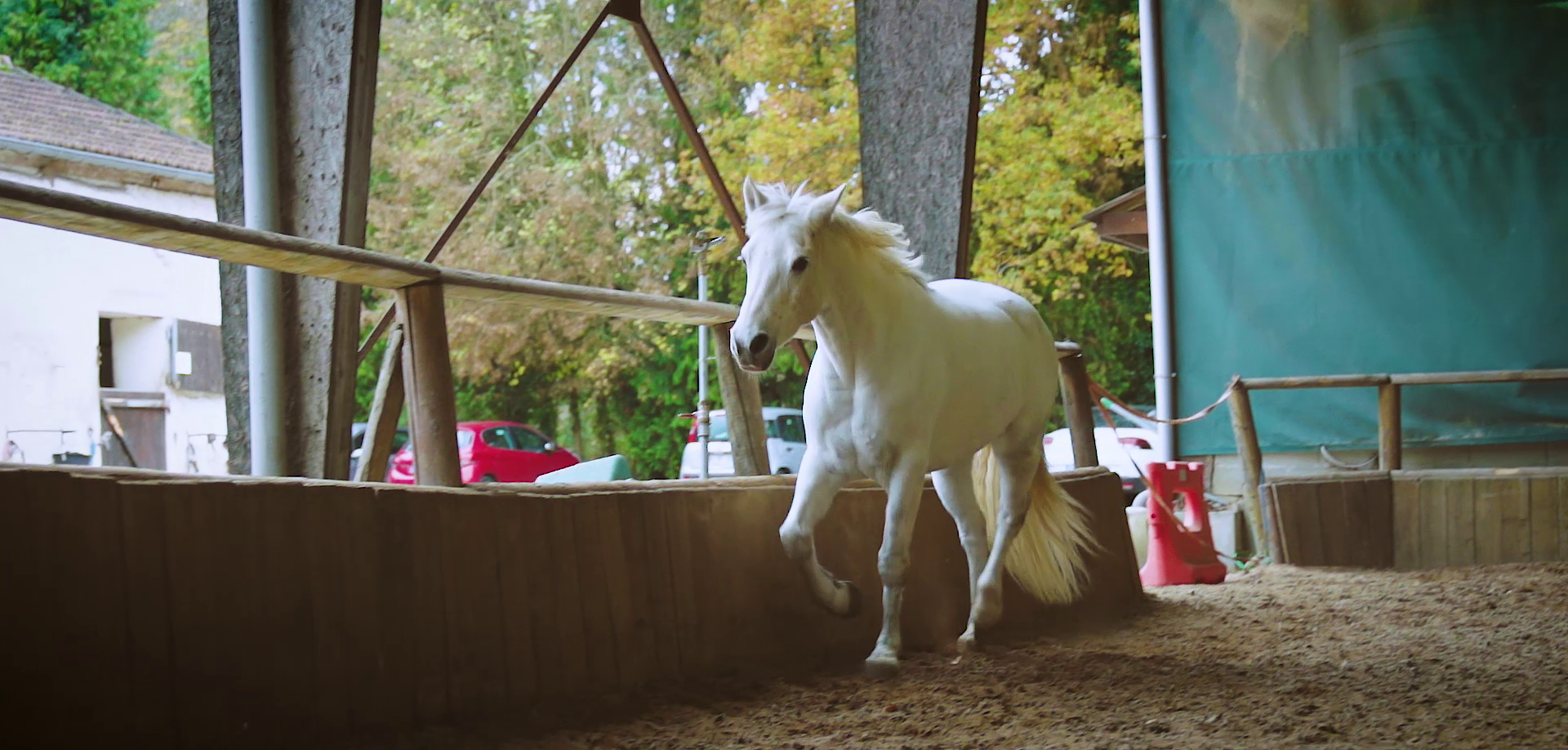 les carnets d&rsquo;éveil