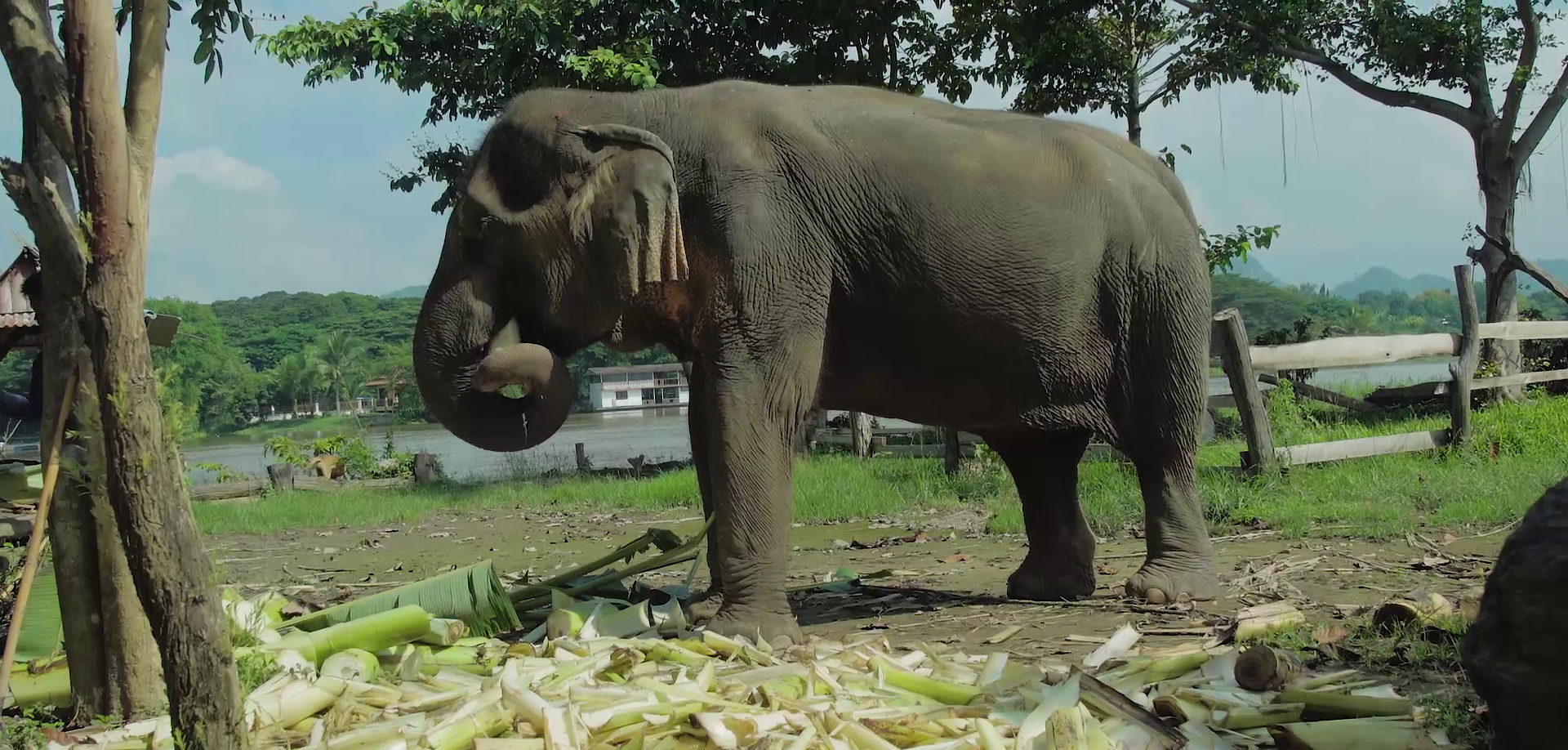 Les carnets d&rsquo;éveil